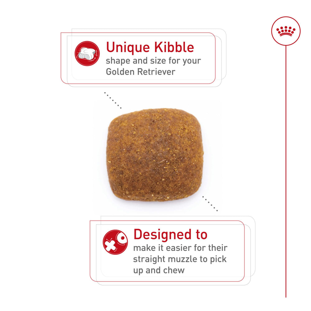 Specialized kibble design for Golden Retrievers with straight muzzles.