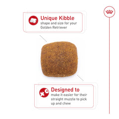Specialized kibble design for Golden Retrievers with straight muzzles.