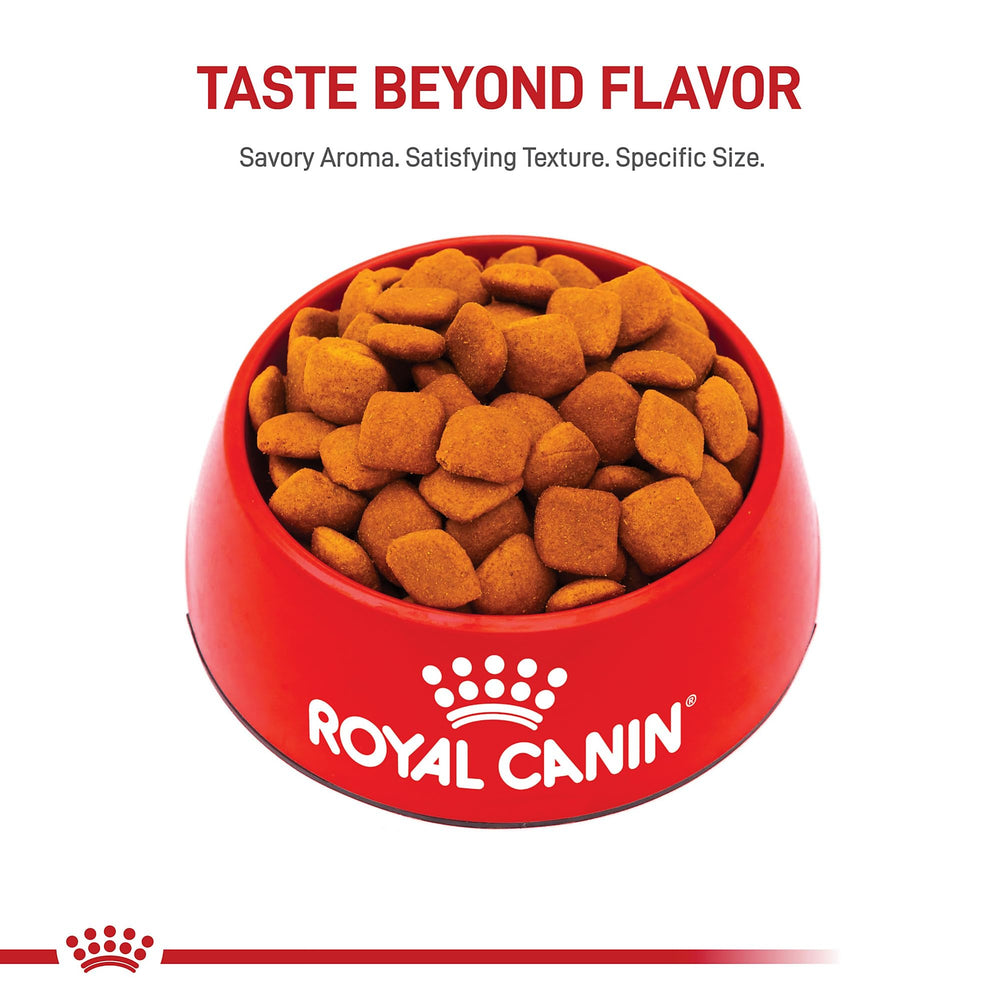 Recommendation to mix with Royal Canin Golden Retriever Wet Food for variety.