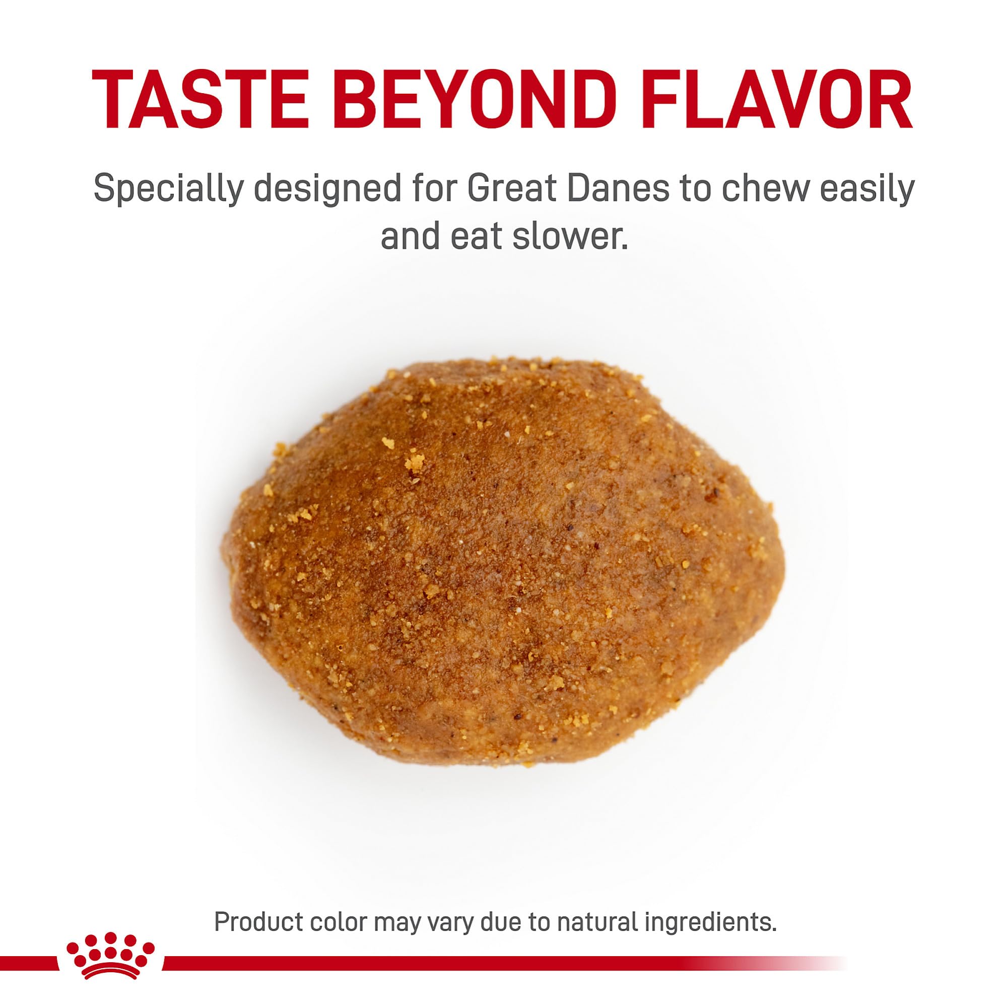 Royal Canin Great Dane Adult kibble close-up, uniquely shaped to slow eating.