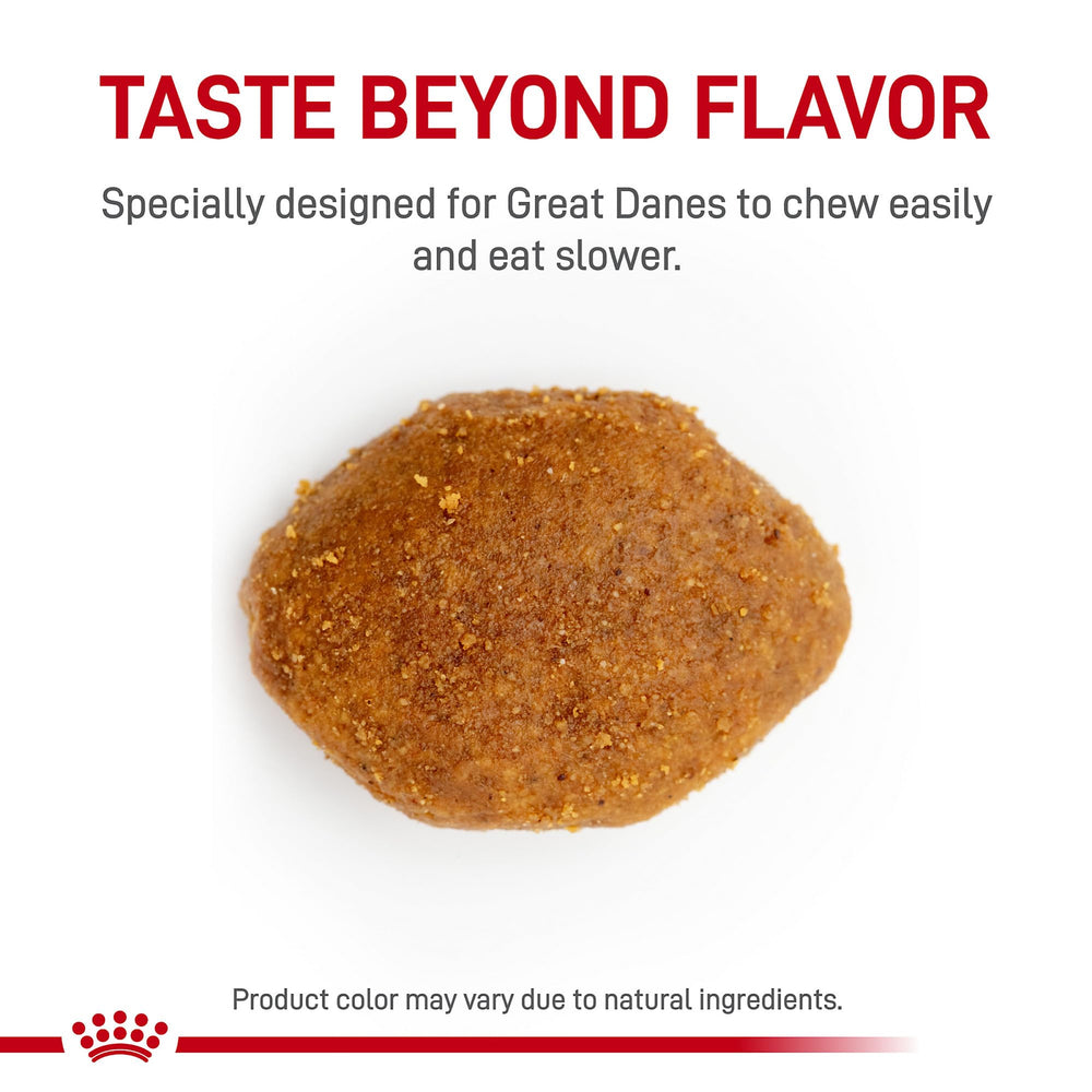 Royal Canin Great Dane Adult kibble close-up, uniquely shaped to slow eating.