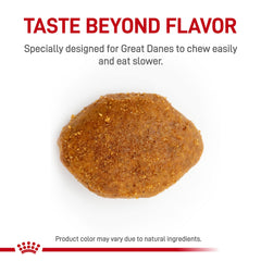 Royal Canin Great Dane Adult kibble close-up, uniquely shaped to slow eating.