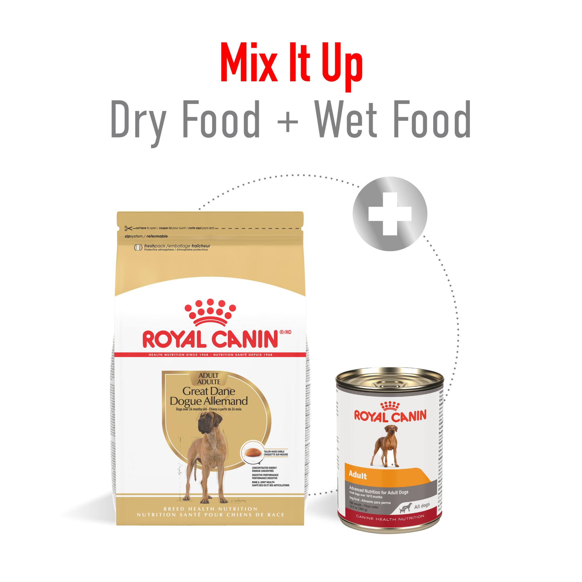 Royal Canin Great Dane mealtime bowl scene, demonstrates portion control for big dogs.