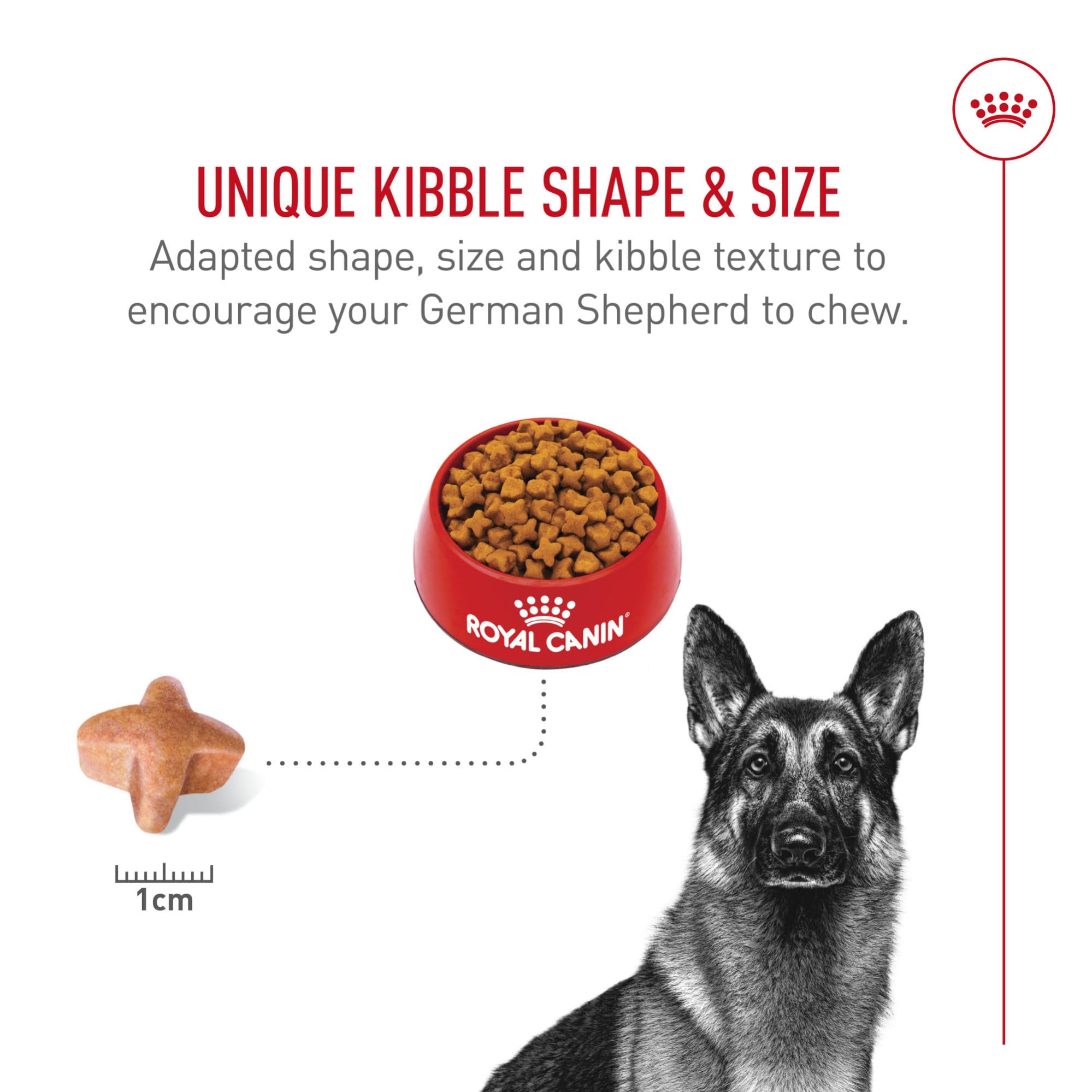 Royal Canin GS highly digestible proteins and fibers support digestion.
