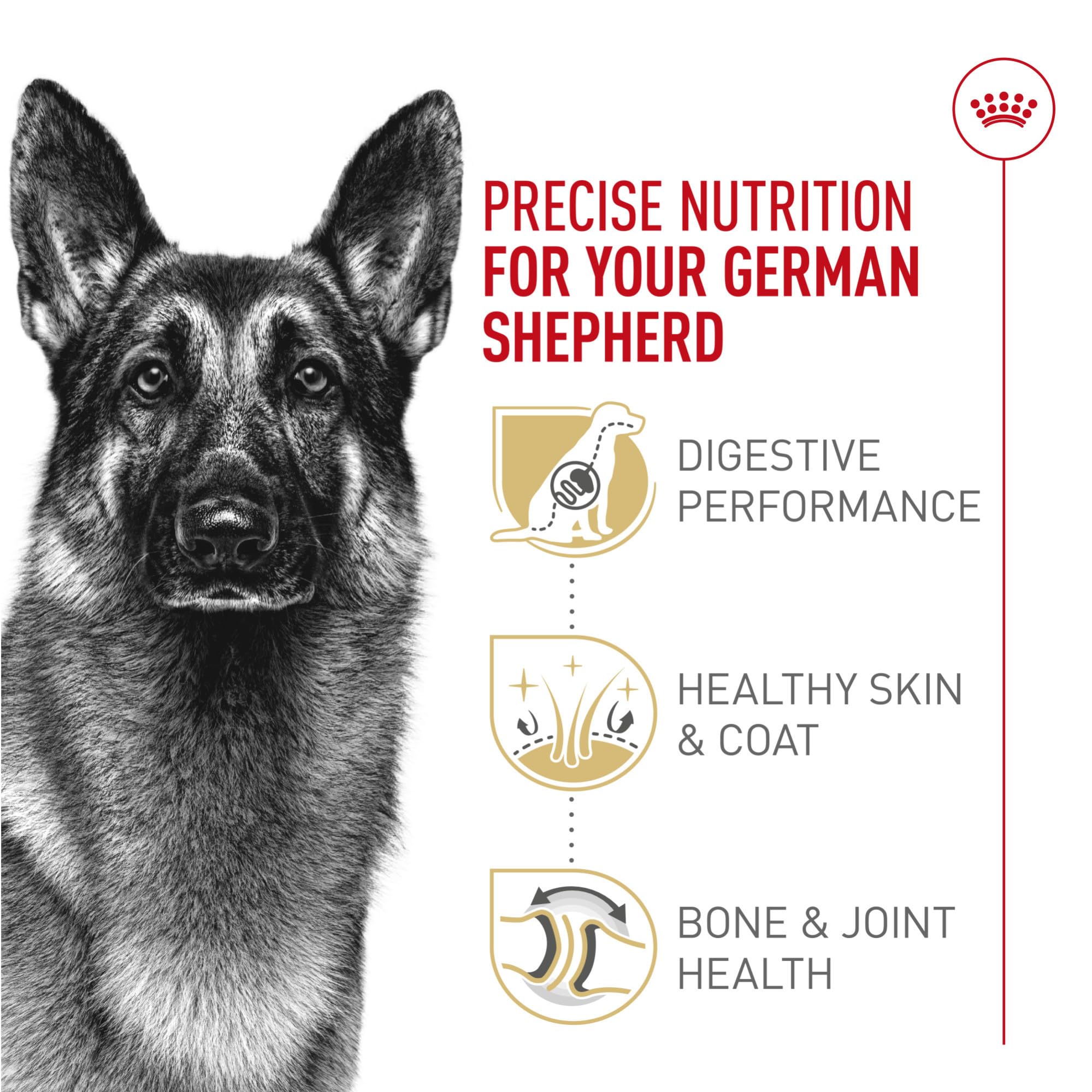 Royal Canin GS coat health formula supports skin and coat.