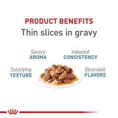 ROYAL CANIN Hairball Care digestive-support formula aids healthy digestion