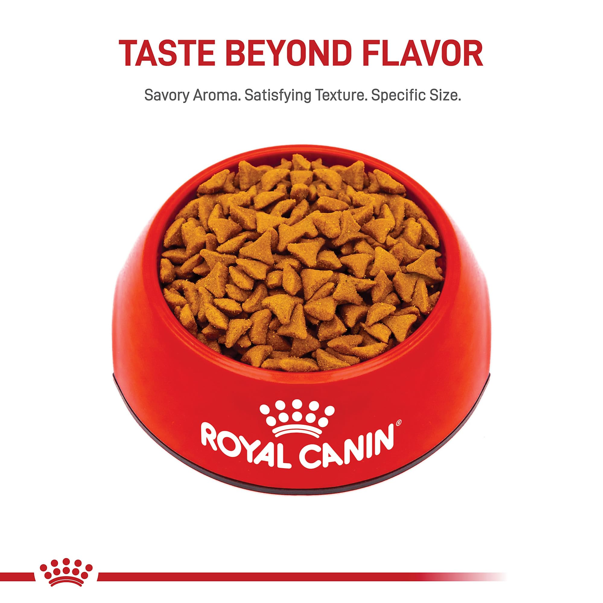 Cat dining scene with Royal Canin Hairball Care dry food.