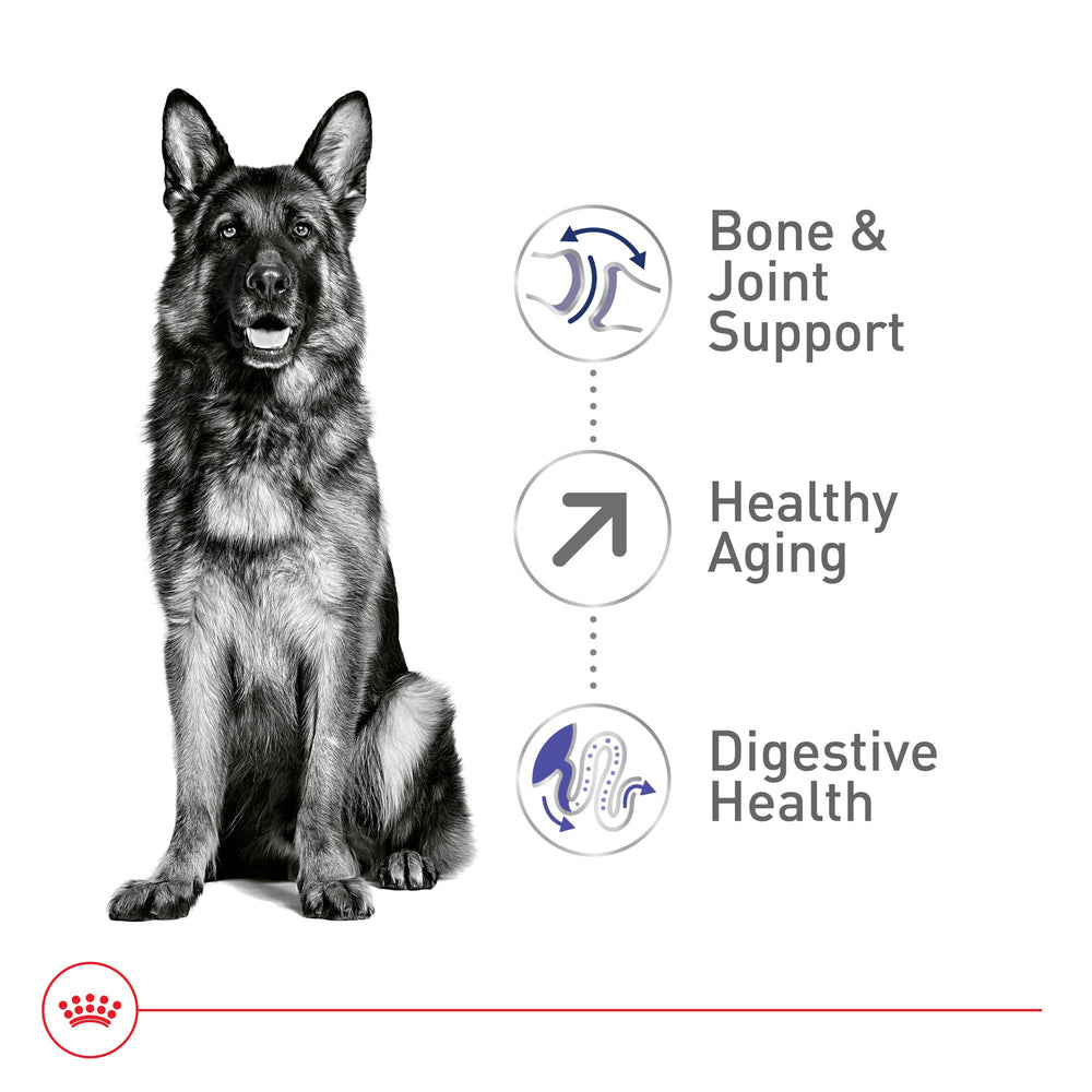 Royal Canin healthy aging formula supporting aging kidney and heart health in large dogs.