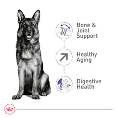 Royal Canin healthy aging formula supporting aging kidney and heart health in large dogs.