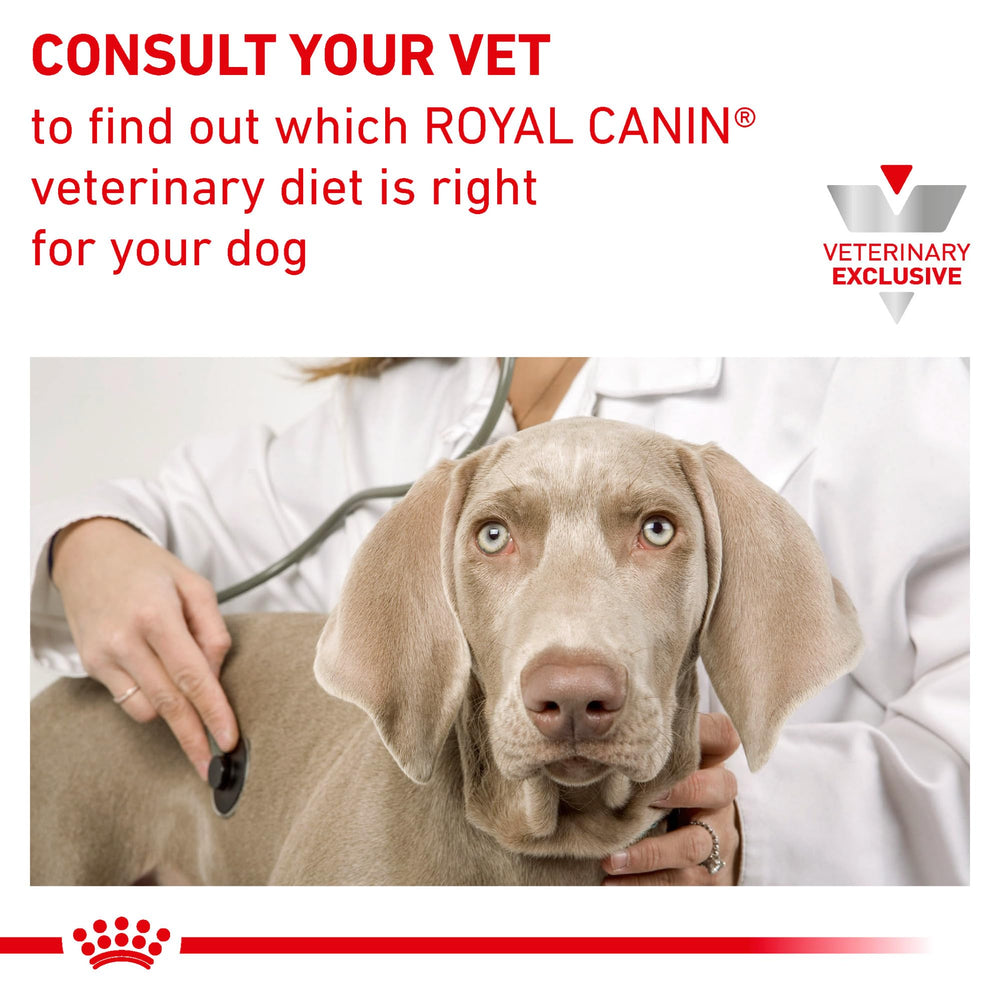 Royal Canin Hydrolyzed Protein Loaf vet-guided option suitable with treats for balanced meals.