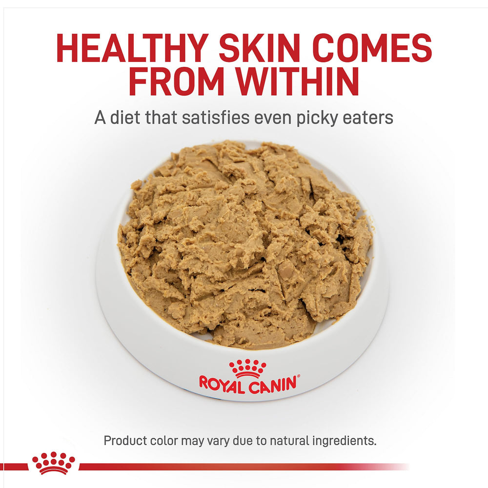 Royal Canin Hydrolyzed Protein Loaf serving bowl shows a highly palatable meal for sensitive dogs.