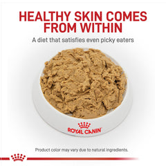 Royal Canin Hydrolyzed Protein Loaf serving bowl shows a highly palatable meal for sensitive dogs.