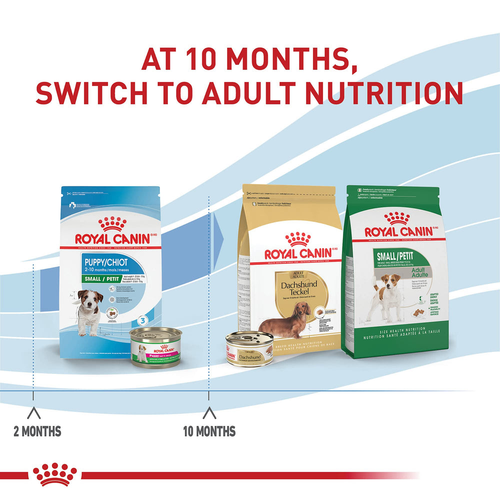 Small breed puppy enjoying immune and digestive support from formula.