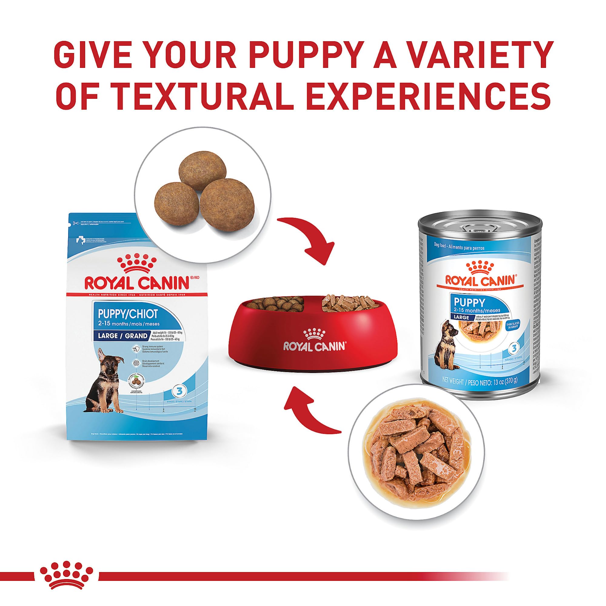Royal Canin immune support antioxidants promote healthy immune response