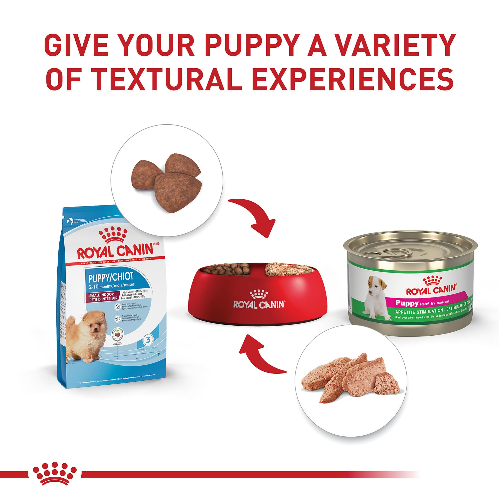 Royal Canin immune-support antioxidants promote immune development