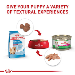 Royal Canin immune-support antioxidants promote immune development