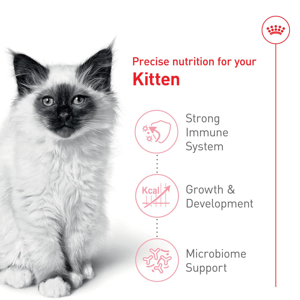 ROYAL CANIN kitten formula with antioxidants supports immune-building ingredients.