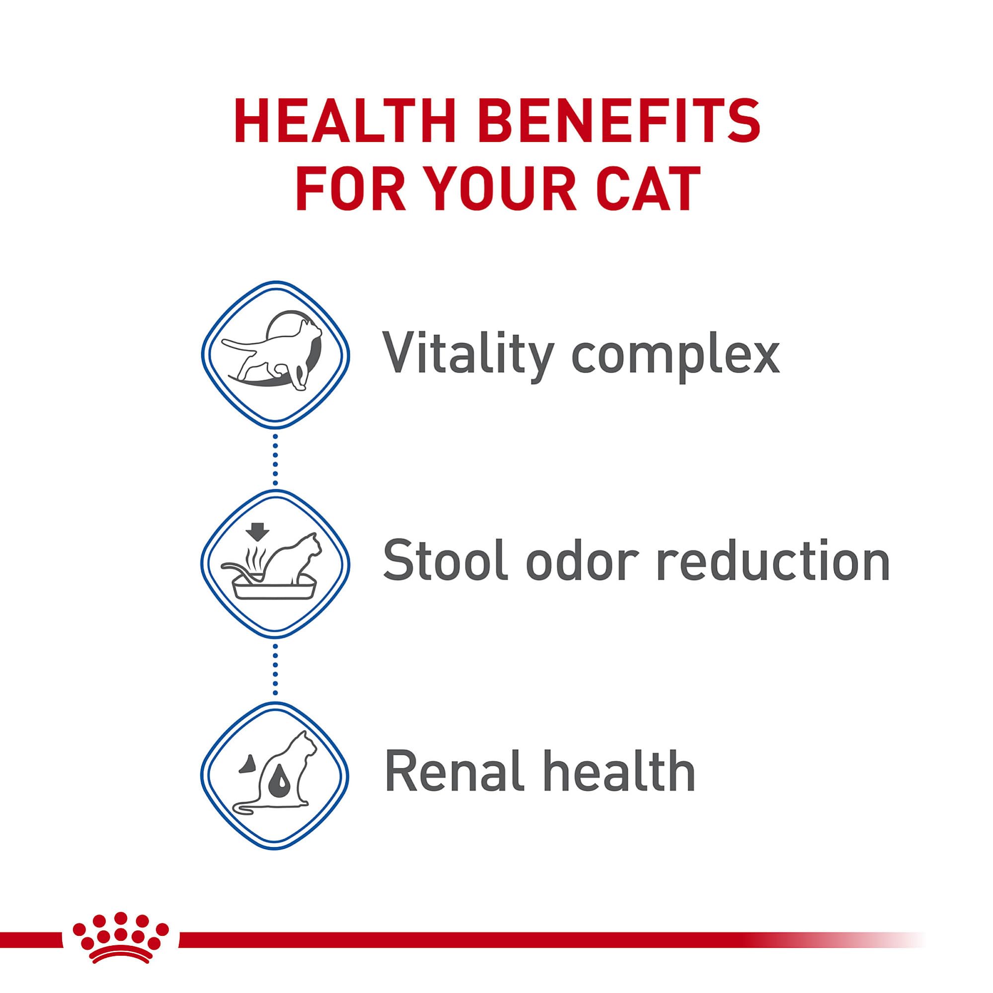 Royal Canin Indoor 7+ serving bowl ready for daily meals supporting digestion.
