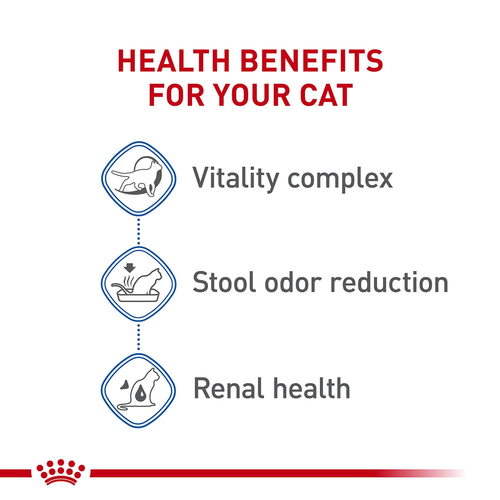 Royal Canin Indoor 7+ serving bowl ready for daily meals supporting digestion.