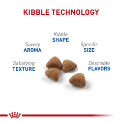 Close-up of Royal Canin indoor kibble emphasizing chewing for oral health