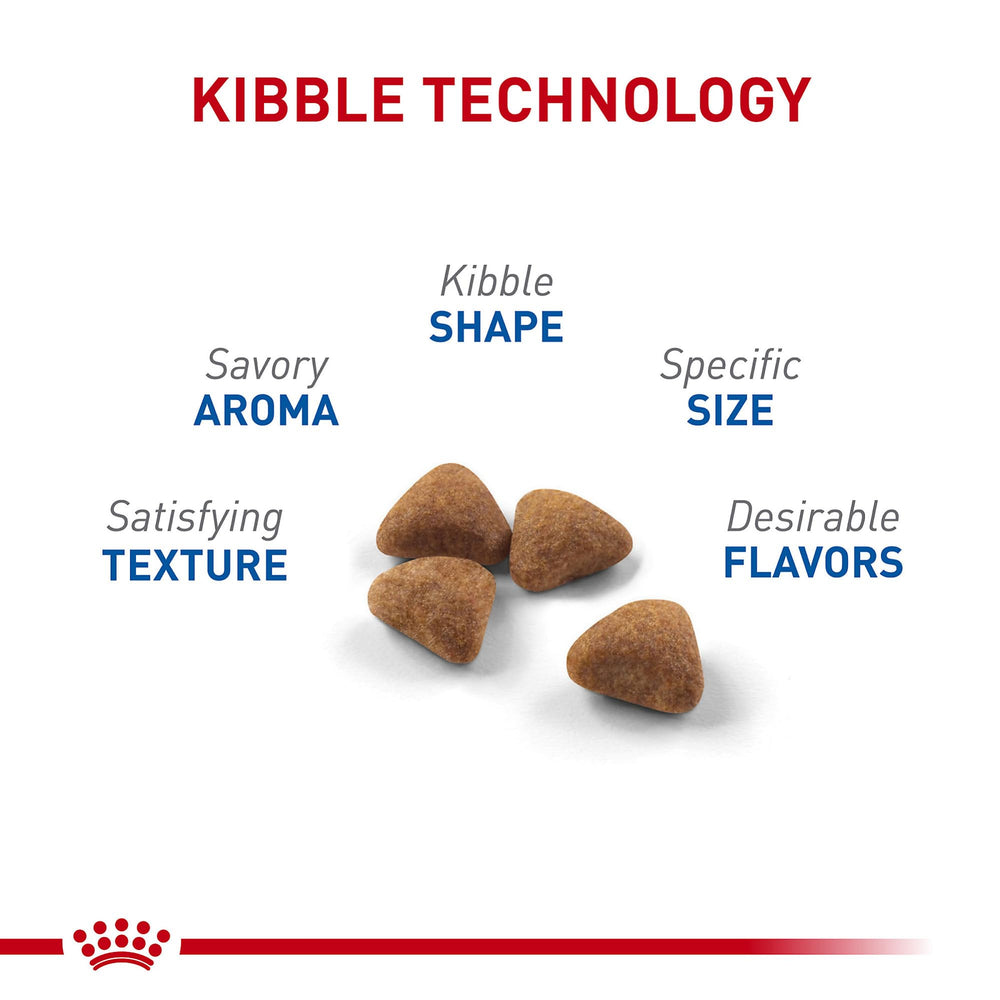 Royal Canin indoor cat kibble close-up encourages chewing for oral health.