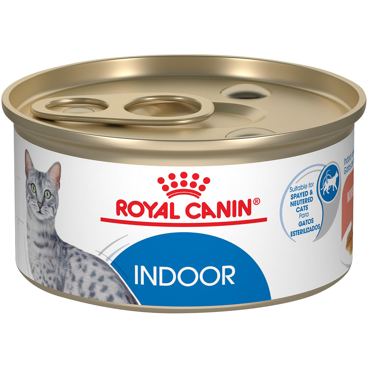 Royal Canin Indoor Morsels in Gravy can image demonstrating a digestible indoor cat meal