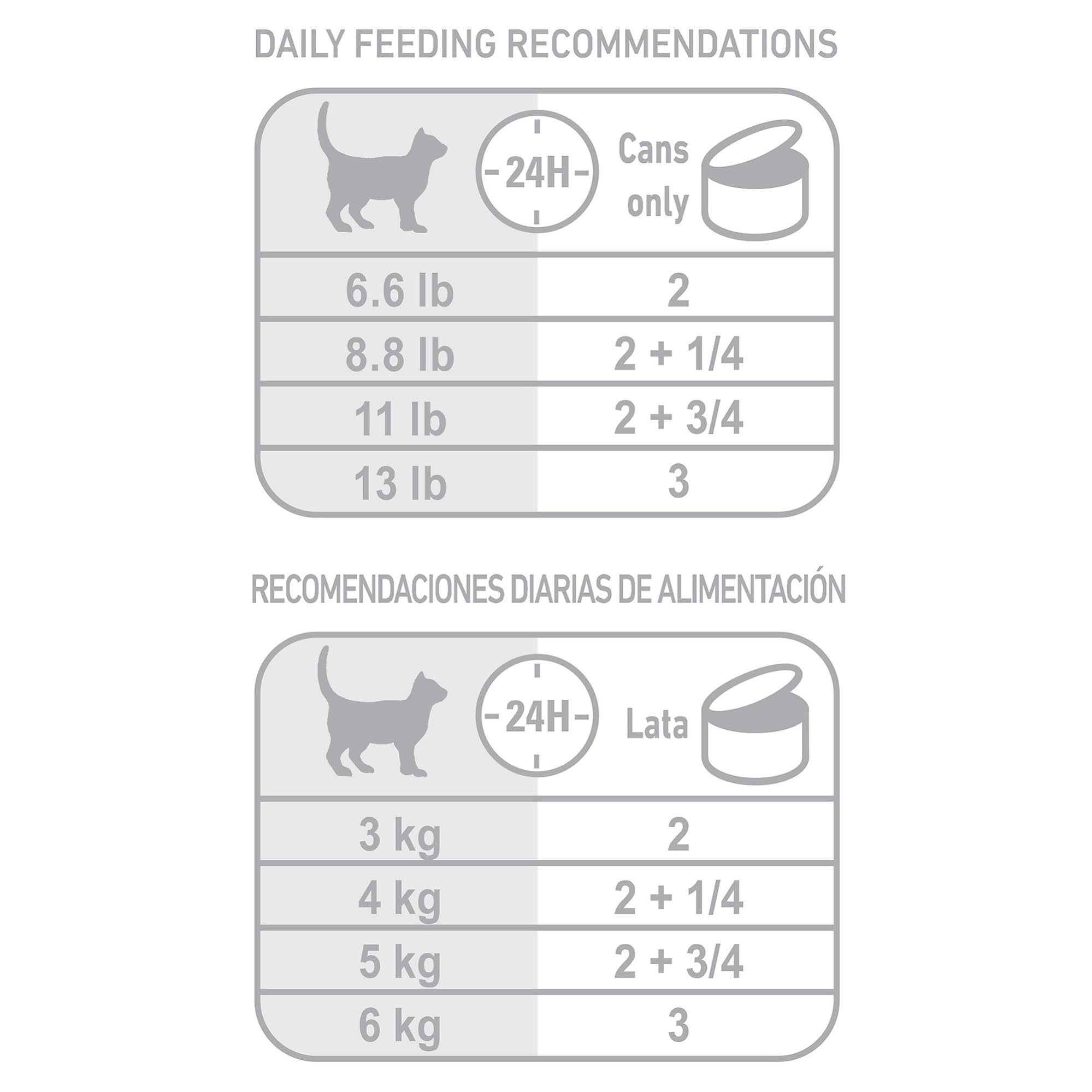 Royal Canin Indoor Morsels in Gravy bowl presentation showing tender pieces in gravy