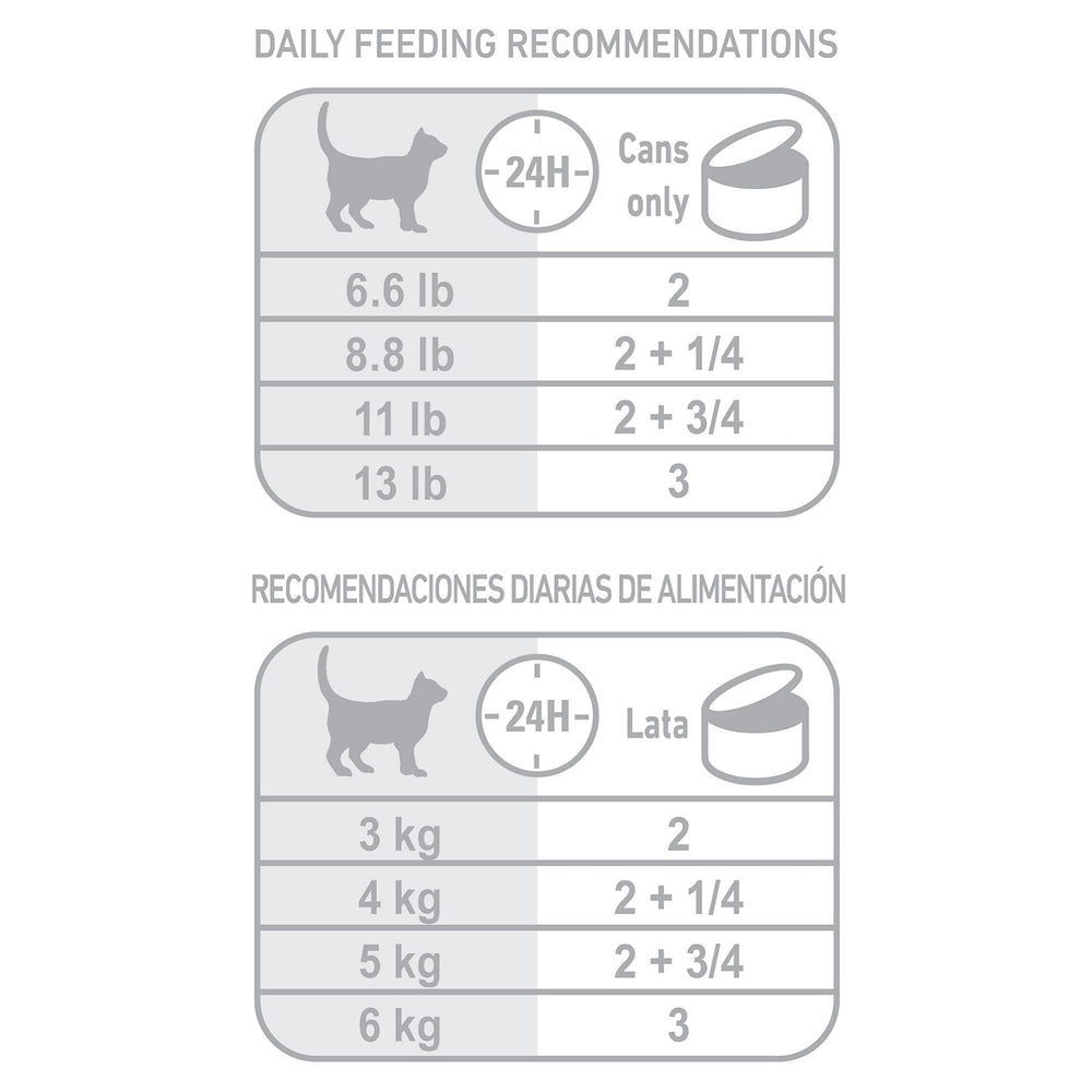 Royal Canin Indoor Morsels in Gravy bowl presentation showing tender pieces in gravy