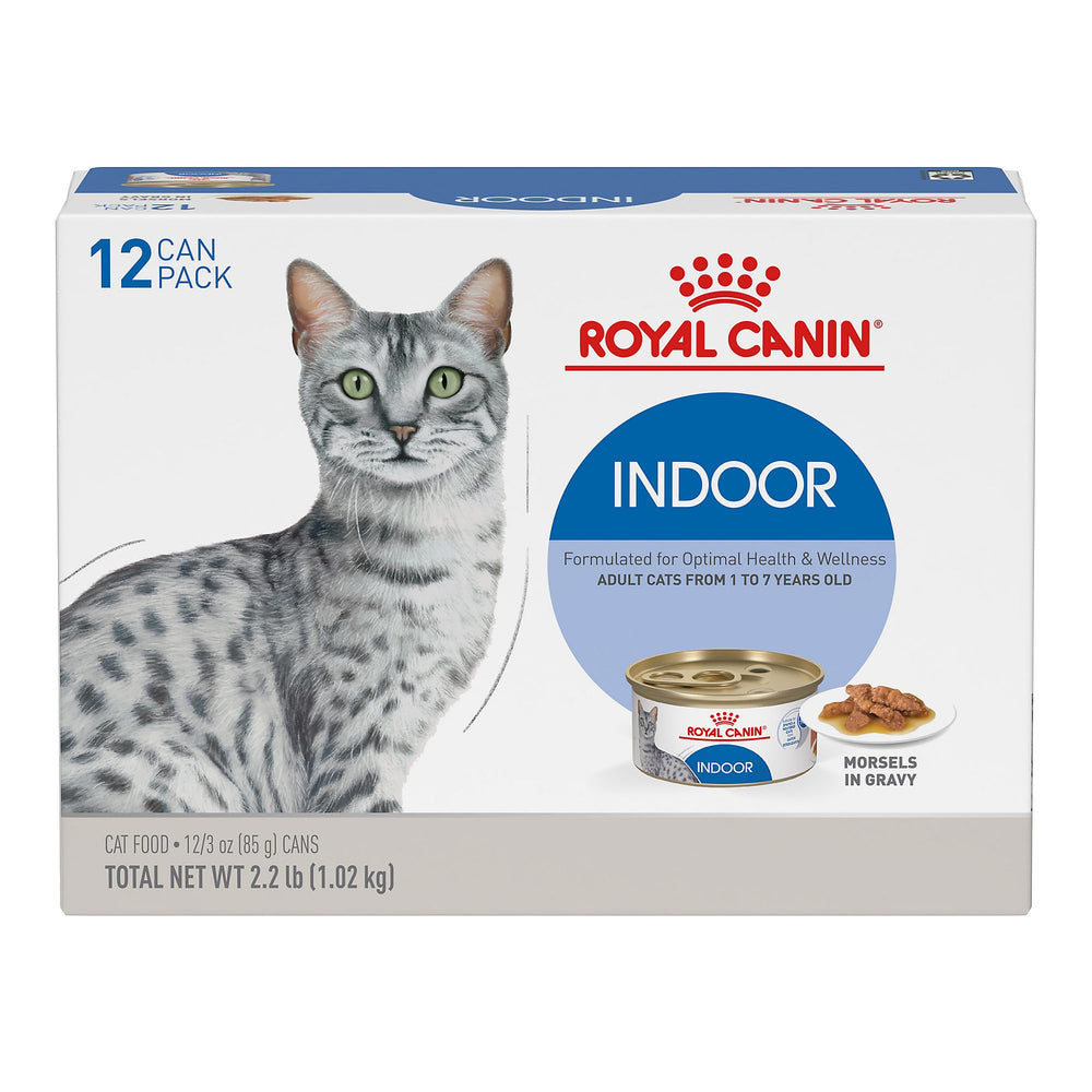 Royal Canin Indoor Morsels in Gravy served in a bowl to entice indoor cats