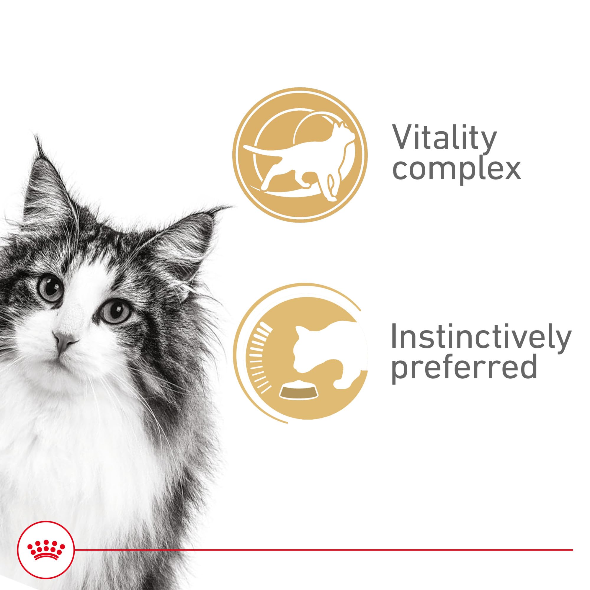 Royal Canin Instinctive 7+ mature cat canned food can with gravy