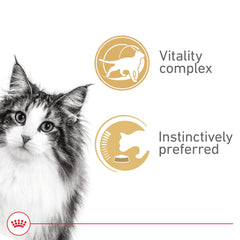 Royal Canin Instinctive 7+ mature cat canned food can with gravy