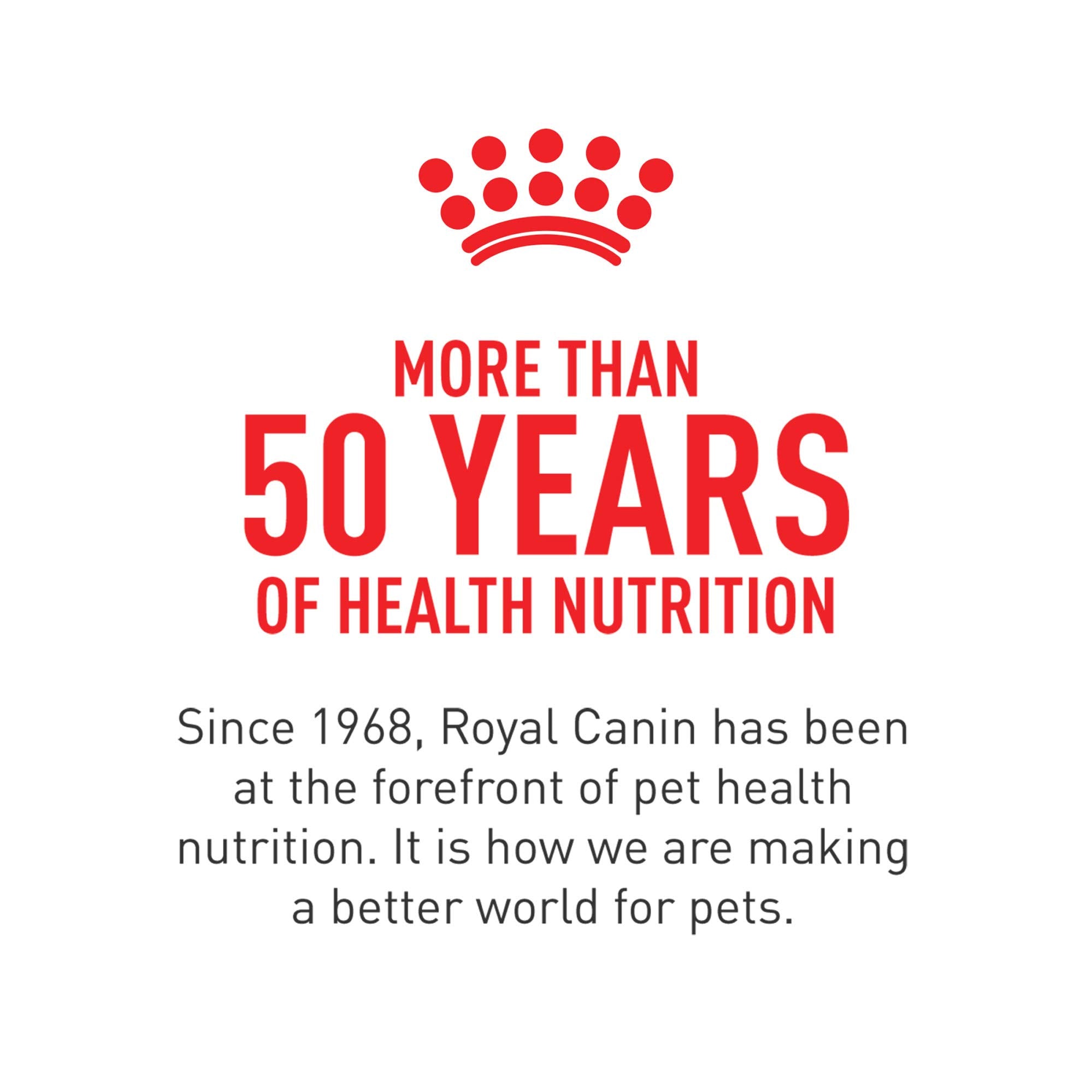 Serving suggestion with a cat enjoying Royal Canin Instinctive 7+