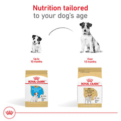 Royal Canin Jack Russell Puppy kibble texture visible for gentle chewing.