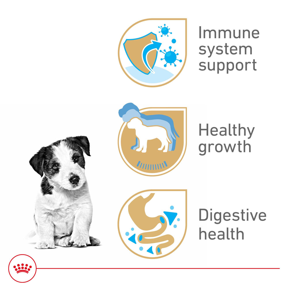 Royal Canin Jack Russell Terrier Puppy feeding bowl with food, highlighting daily mealtimes.