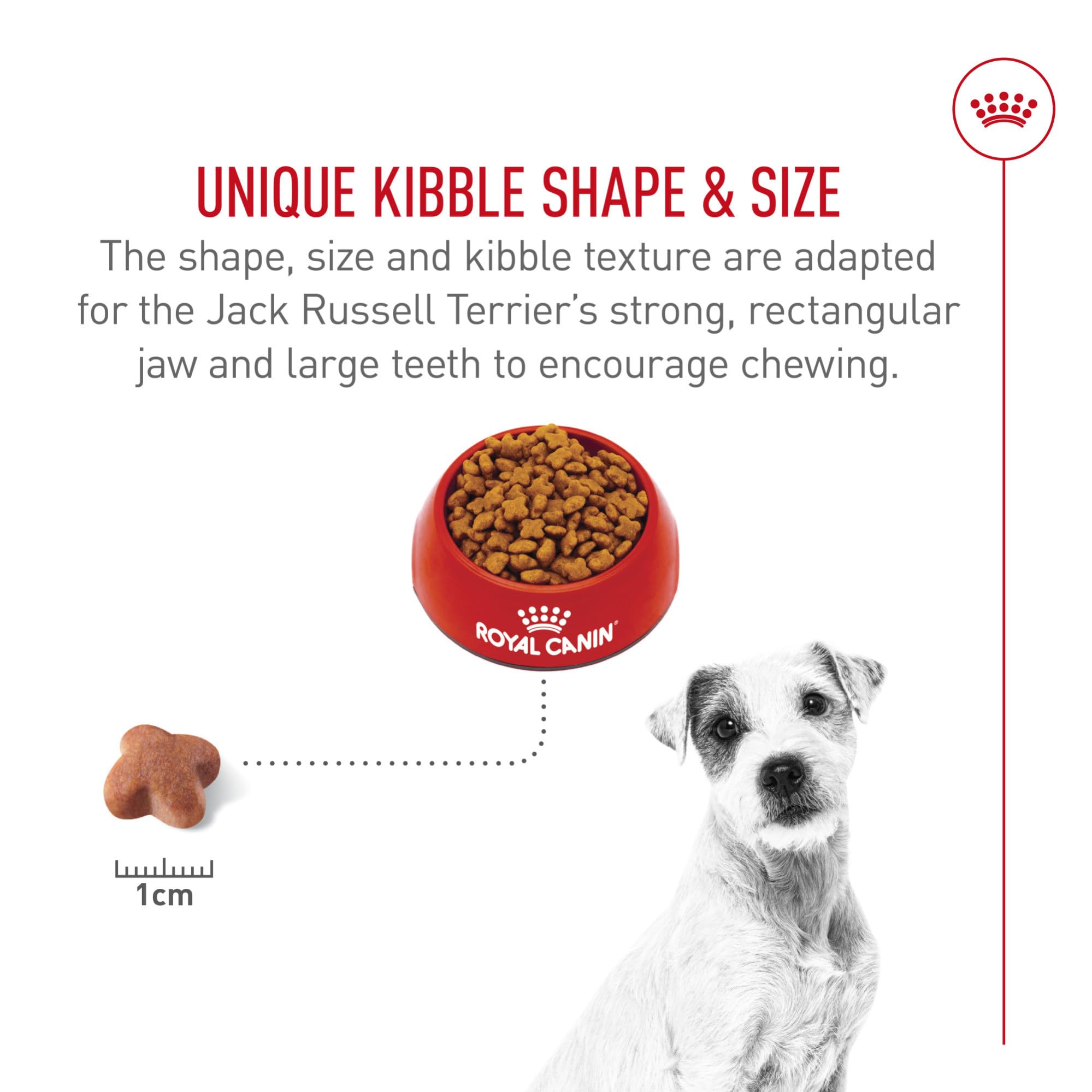 ROYAL CANIN chew-friendly kibble close-up for small jaws.