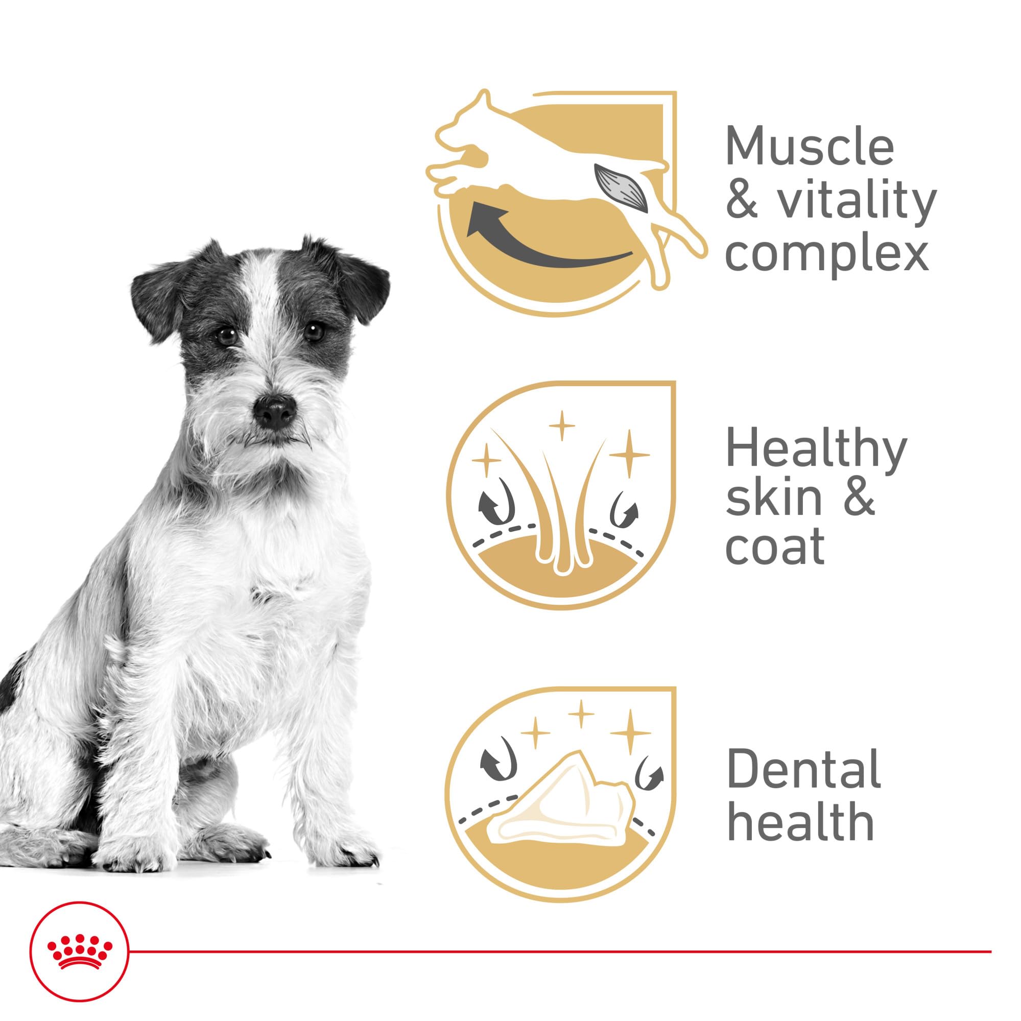 ROYAL CANIN dental-kibble texture promotes chewing for dental care.