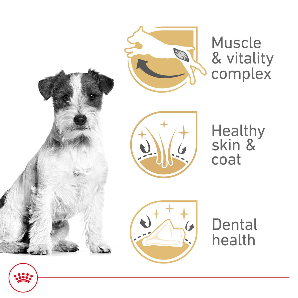 ROYAL CANIN dental-kibble texture promotes chewing for dental care.