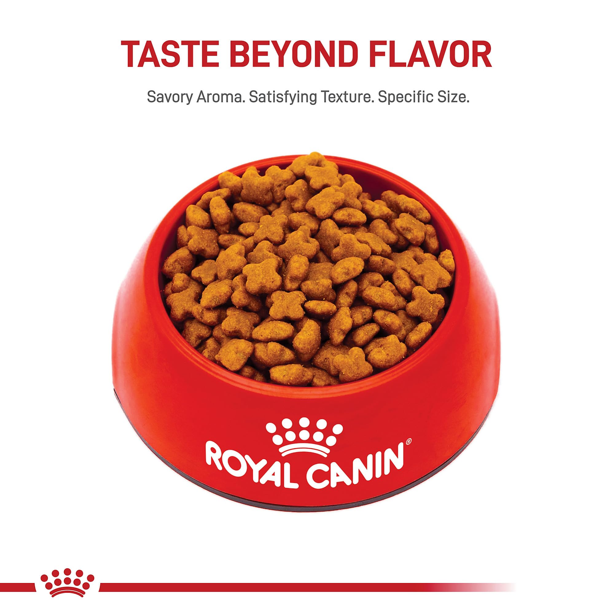 ROYAL CANIN Jack Russell Terrier kibble shape close-up supports easy picking up.