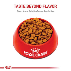 ROYAL CANIN Jack Russell Terrier kibble shape close-up supports easy picking up.