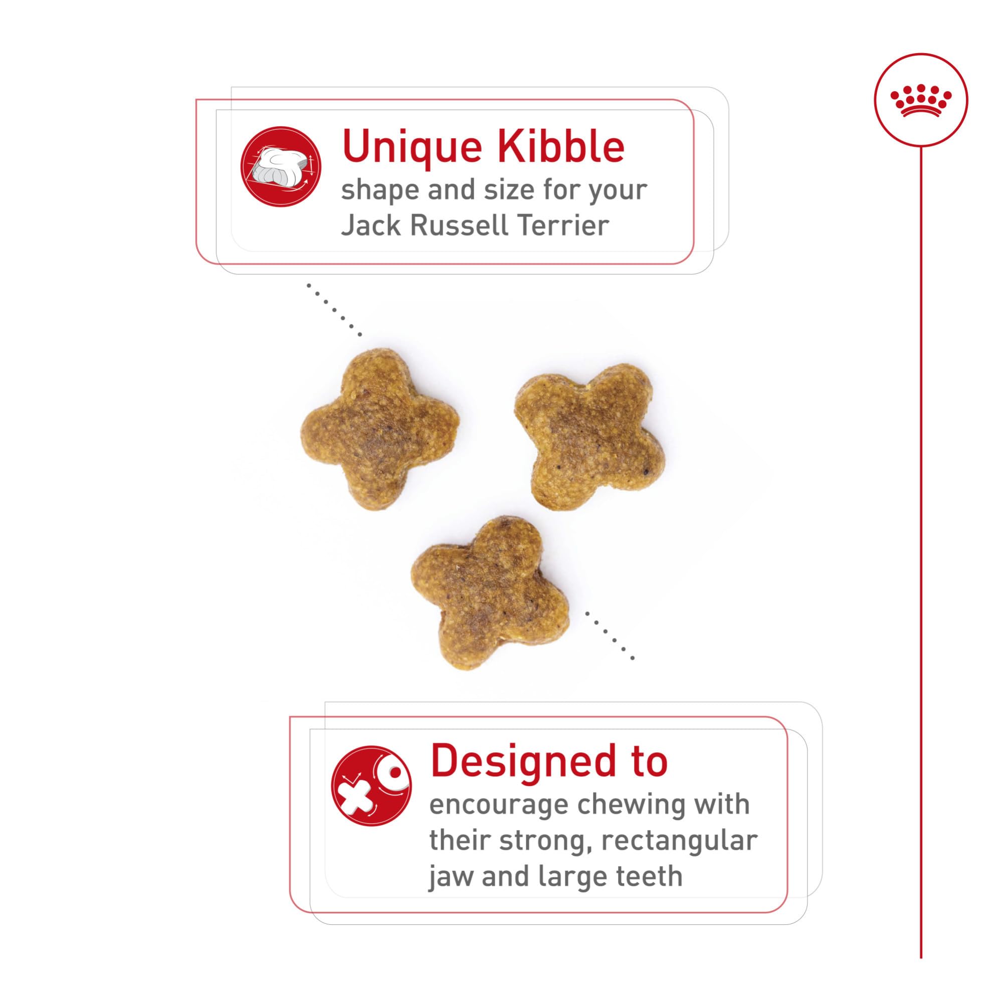ROYAL CANIN Jack Russell Terrier small-breed meal supports compact bites.