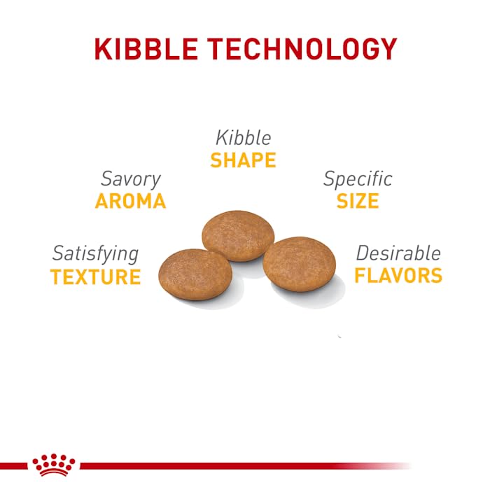 Royal Canin kibble close-up shows small-dog size ideal for sensitive coats.