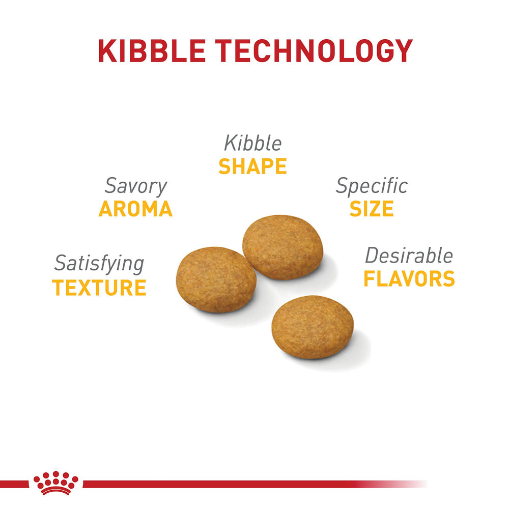 Close-up of Royal Canin kibble texture for sensitive skin care