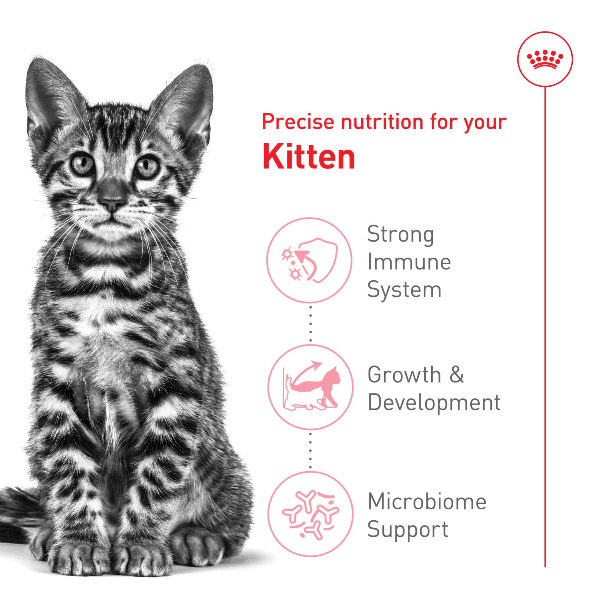 Royal Canin kibble closeup with X-shaped pieces for easy pickup.