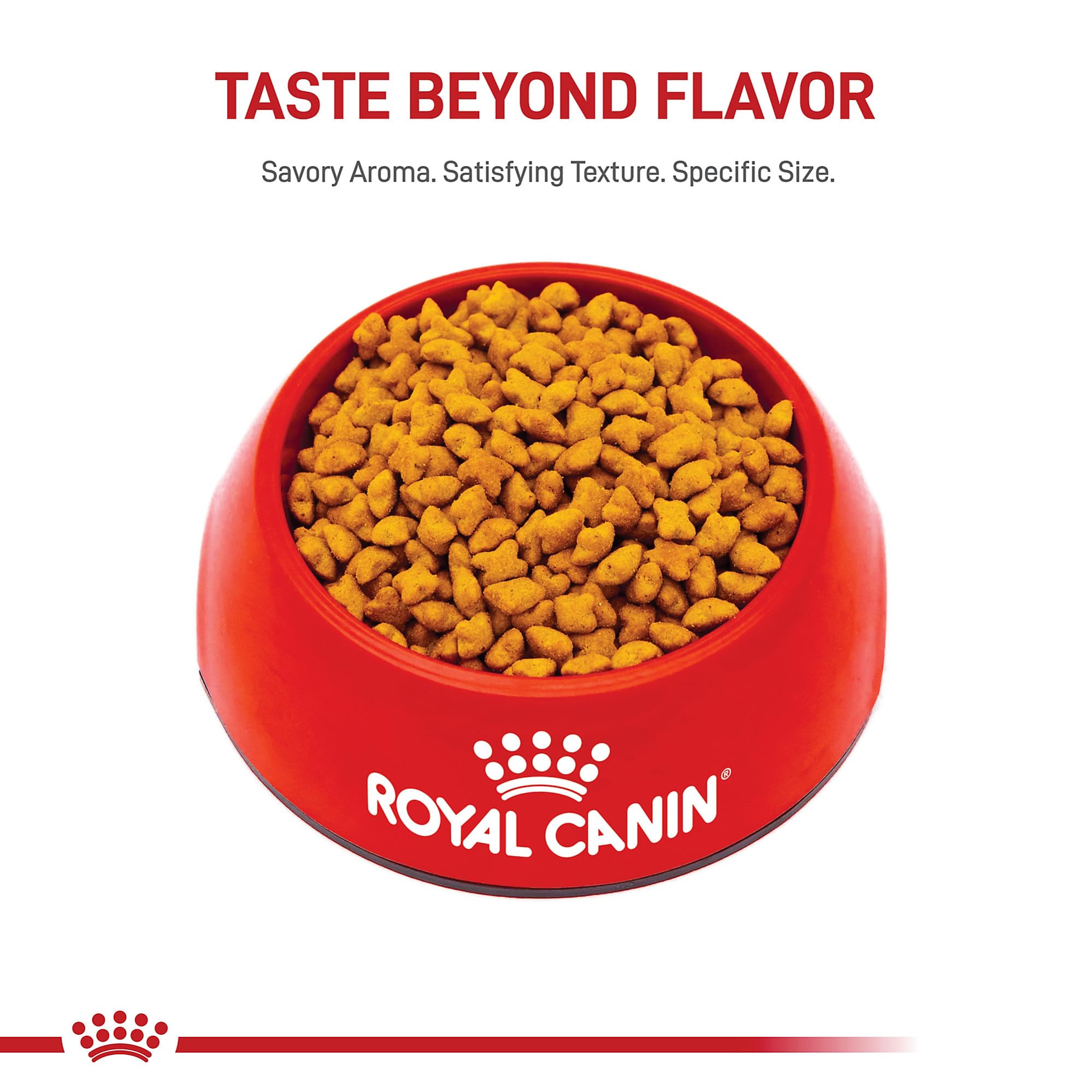 Royal Canin kitchen scene suggests trusted daily feeding.