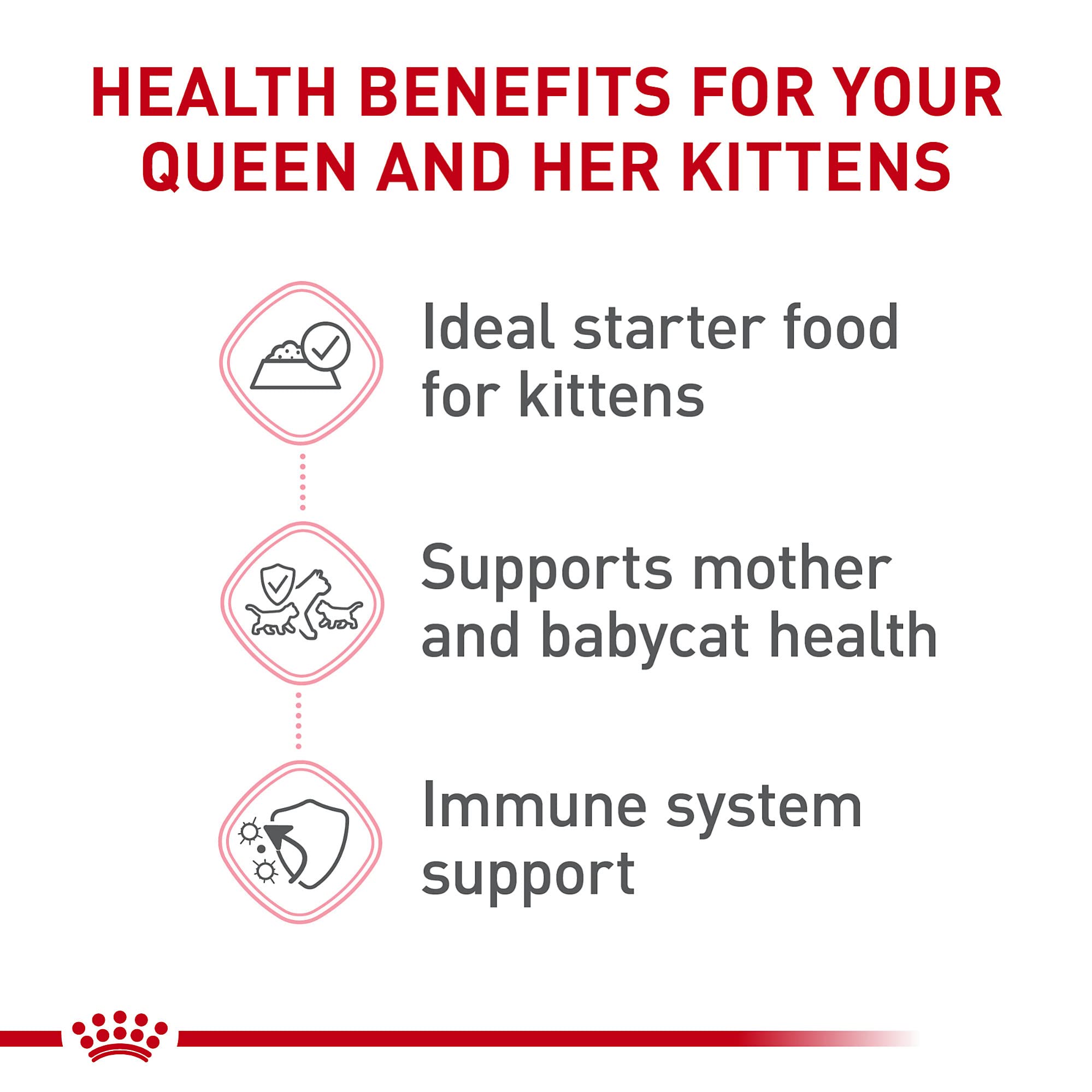 Royal Canin kitten development with antioxidants and vitamins support growth