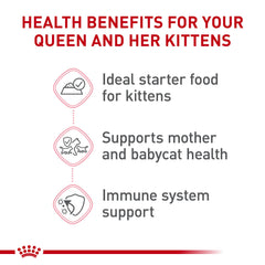 Royal Canin kitten development with antioxidants and vitamins support growth