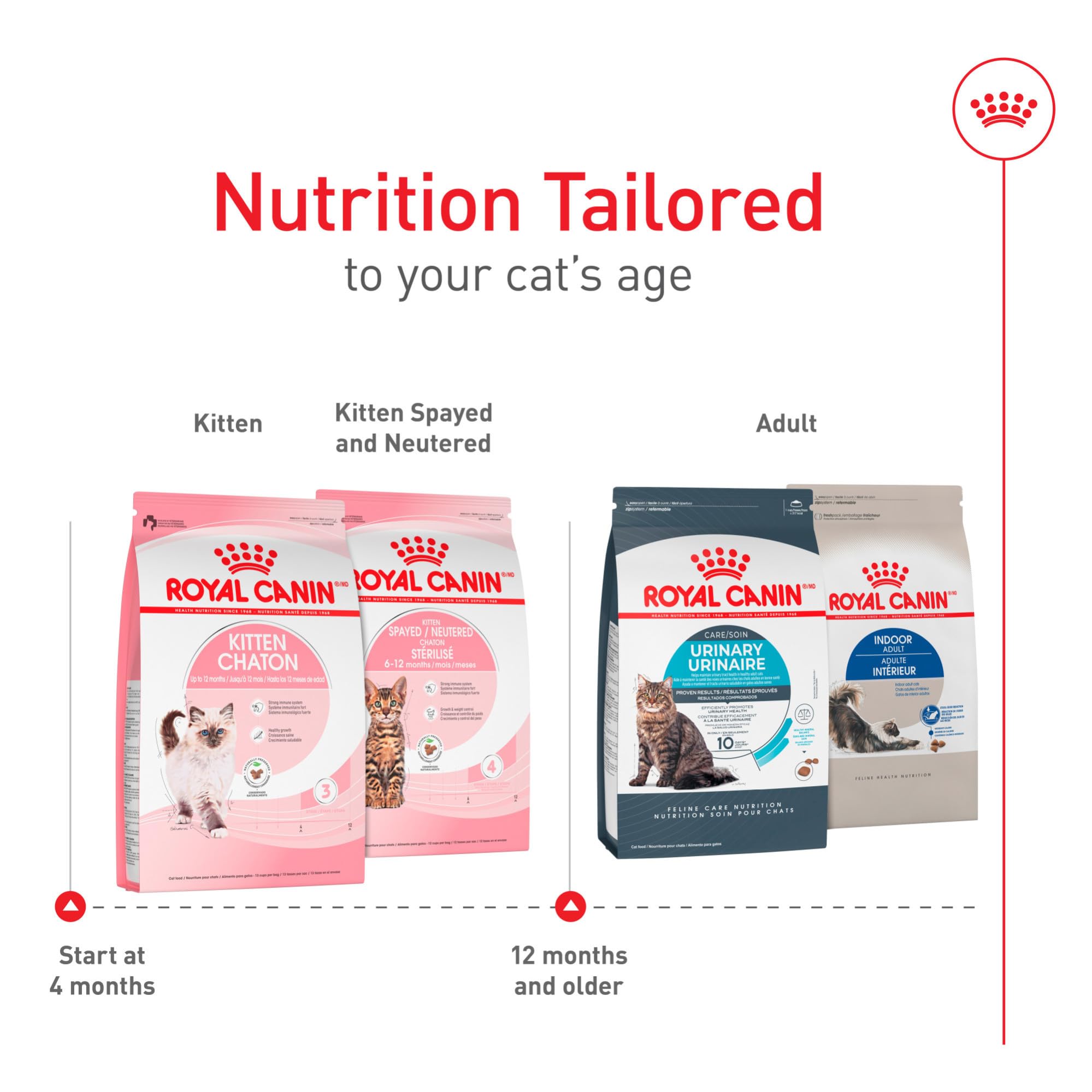ROYAL CANIN kitten digestive-health close-up reveals prebiotics and fibers for gut comfort.