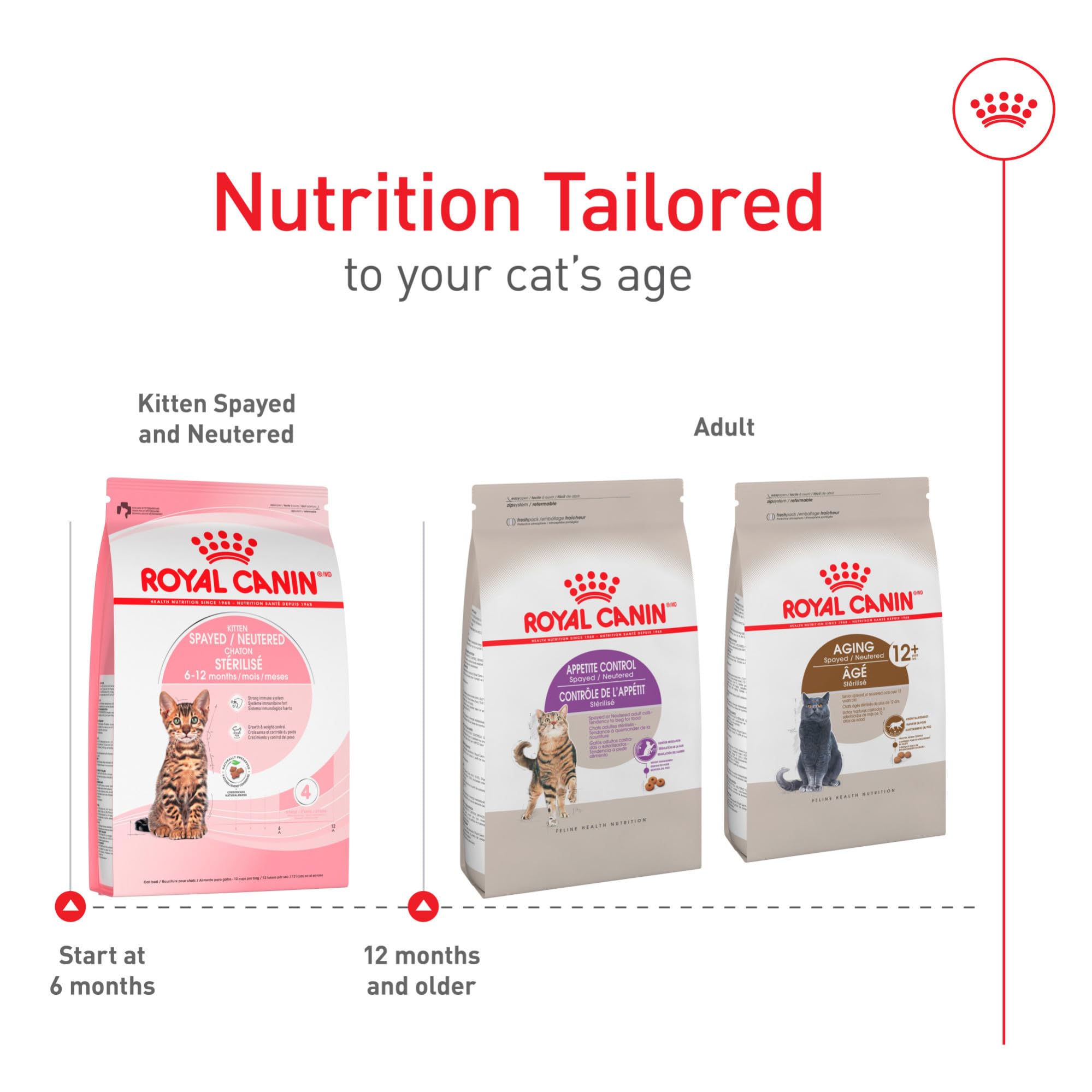 Royal Canin kitten growth and weight control in a healthy routine.