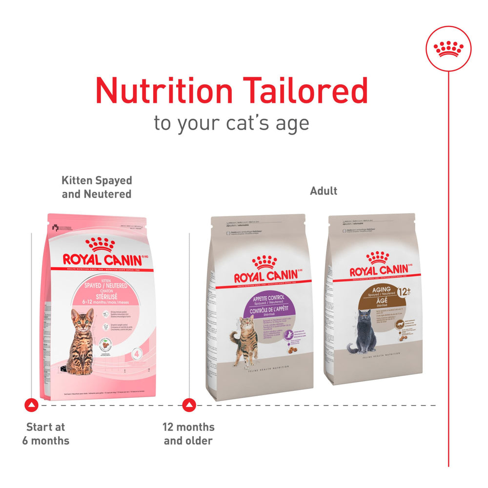 Royal Canin kitten growth and weight control in a healthy routine.