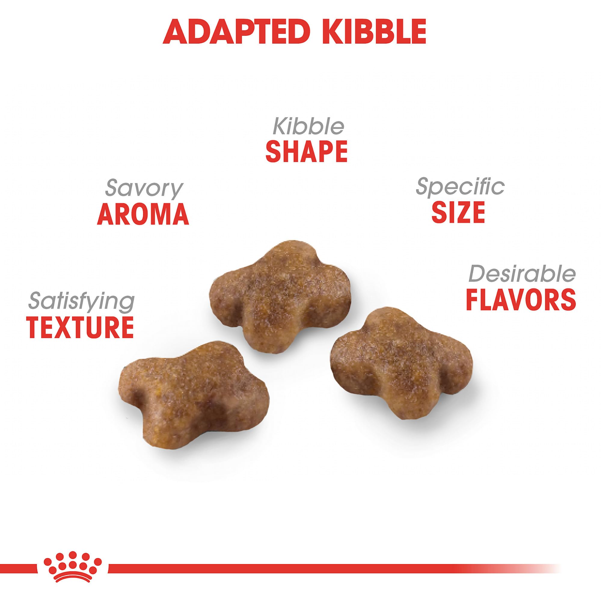 ROYAL CANIN kitten kibble close-up highlighting easy-to-chew texture for small mouths.